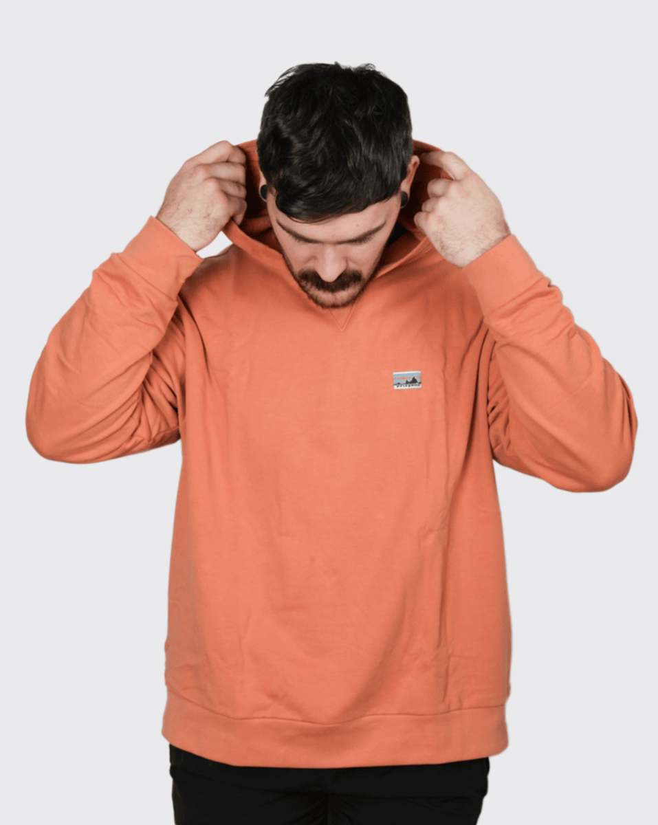 Patagonia Daily Hoody Sweatshirt | 22770-SINY | Trainers AUS