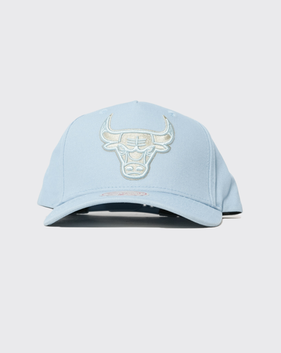 Mitchell and Ness Seasonal Core Bulls