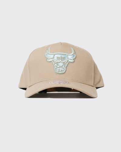 Mitchell and Ness Seasonal Core Bulls