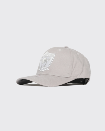 Mitchell and Ness Seasonal Pro Crown Raiders