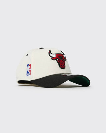 New era 3930 A Frame Cut N Paste Chicago Bulls new era cap
