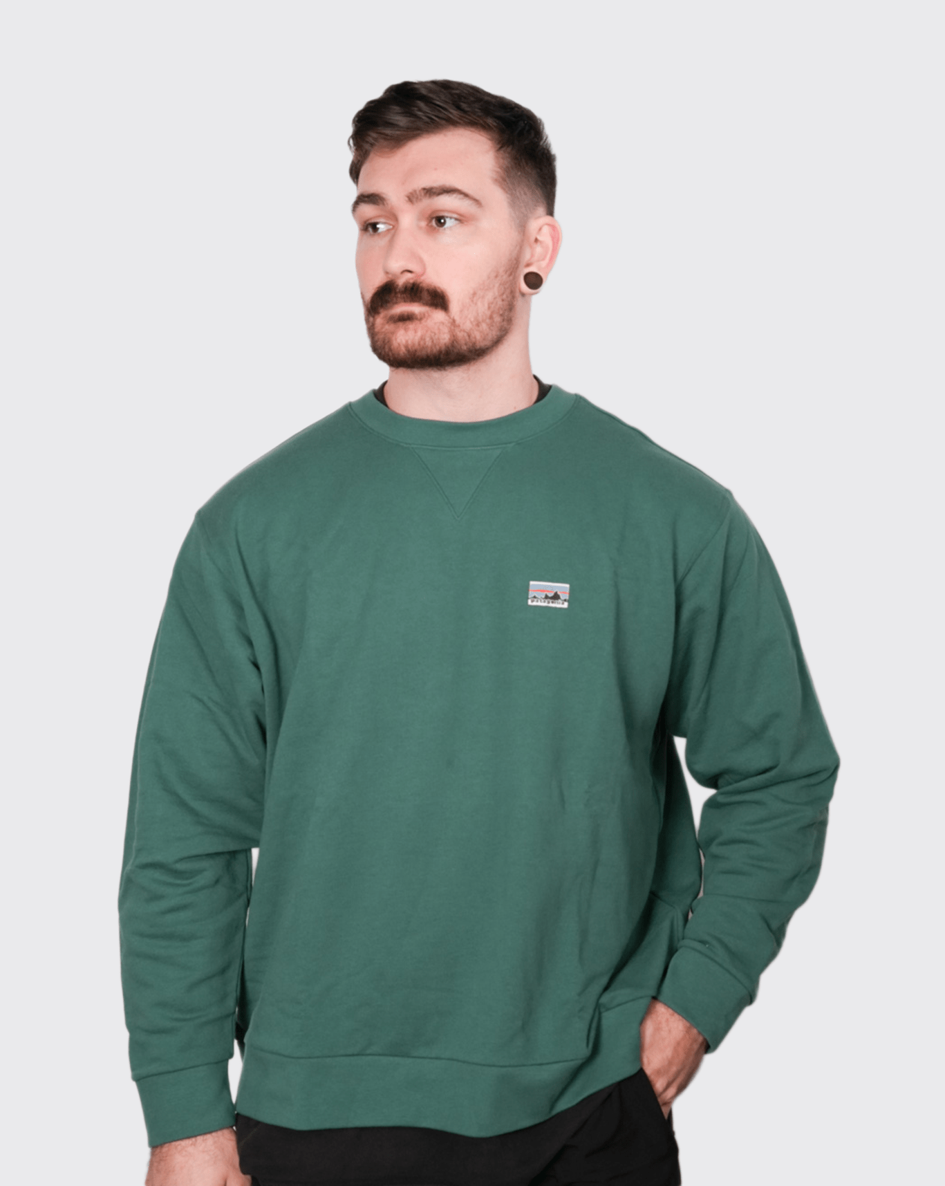 Patagonia Daily Crewneck Sweatshirt patagonia Hoodie