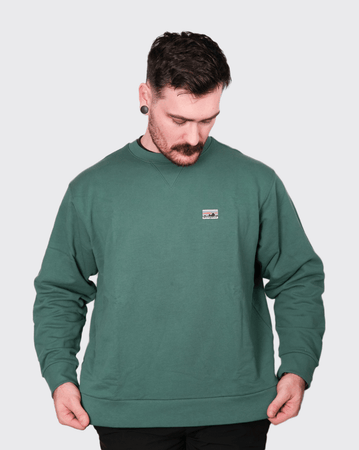 Patagonia Daily Crewneck Sweatshirt patagonia Hoodie