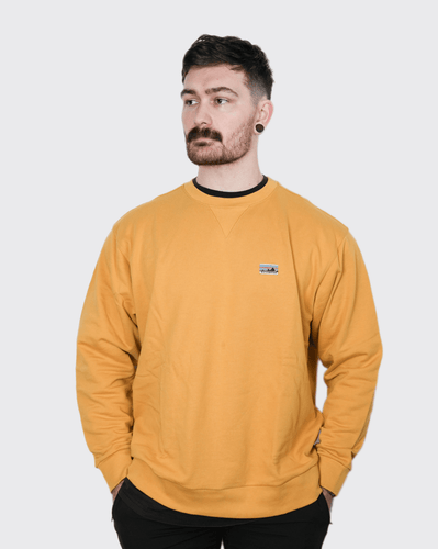 Patagonia Daily Crewneck Sweatshirt patagonia Hoodie