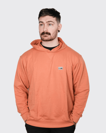 Patagonia Daily Hoody Sweatshirt patagonia Hoodie