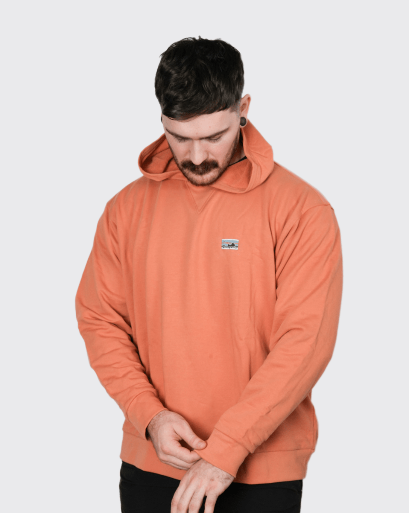 Patagonia daily hoody hotsell