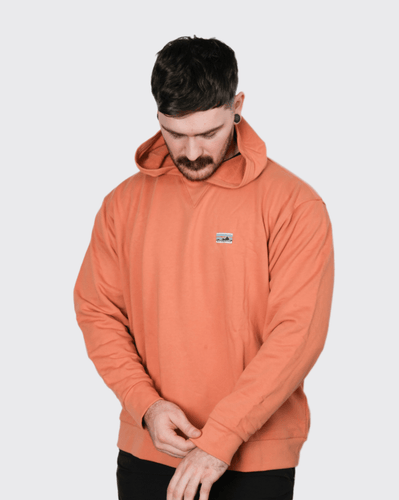 Patagonia Daily Hoody Sweatshirt patagonia Hoodie