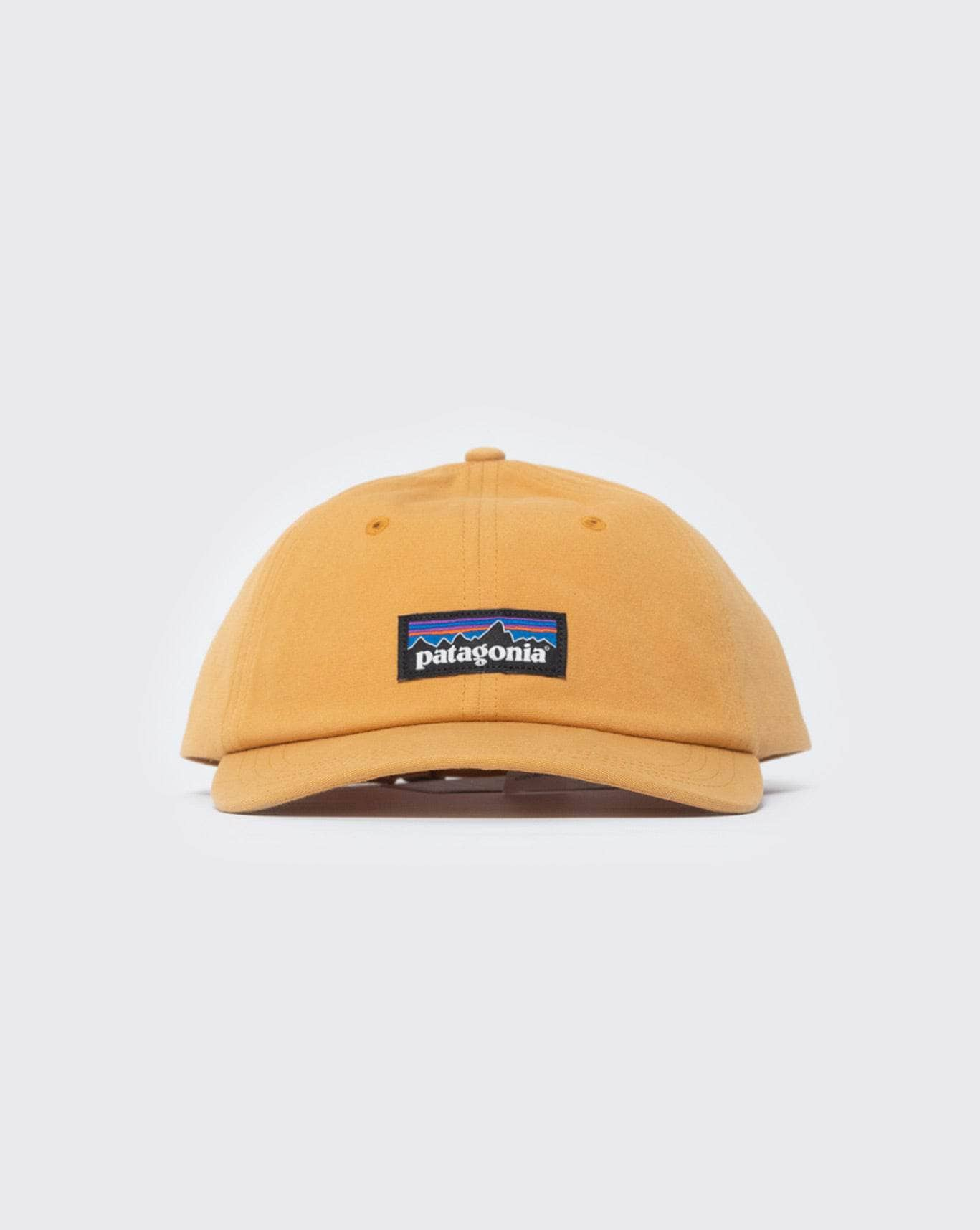 Dried Mango / OSFM Patagonia P-6 Label Trad Cap patagonia cap