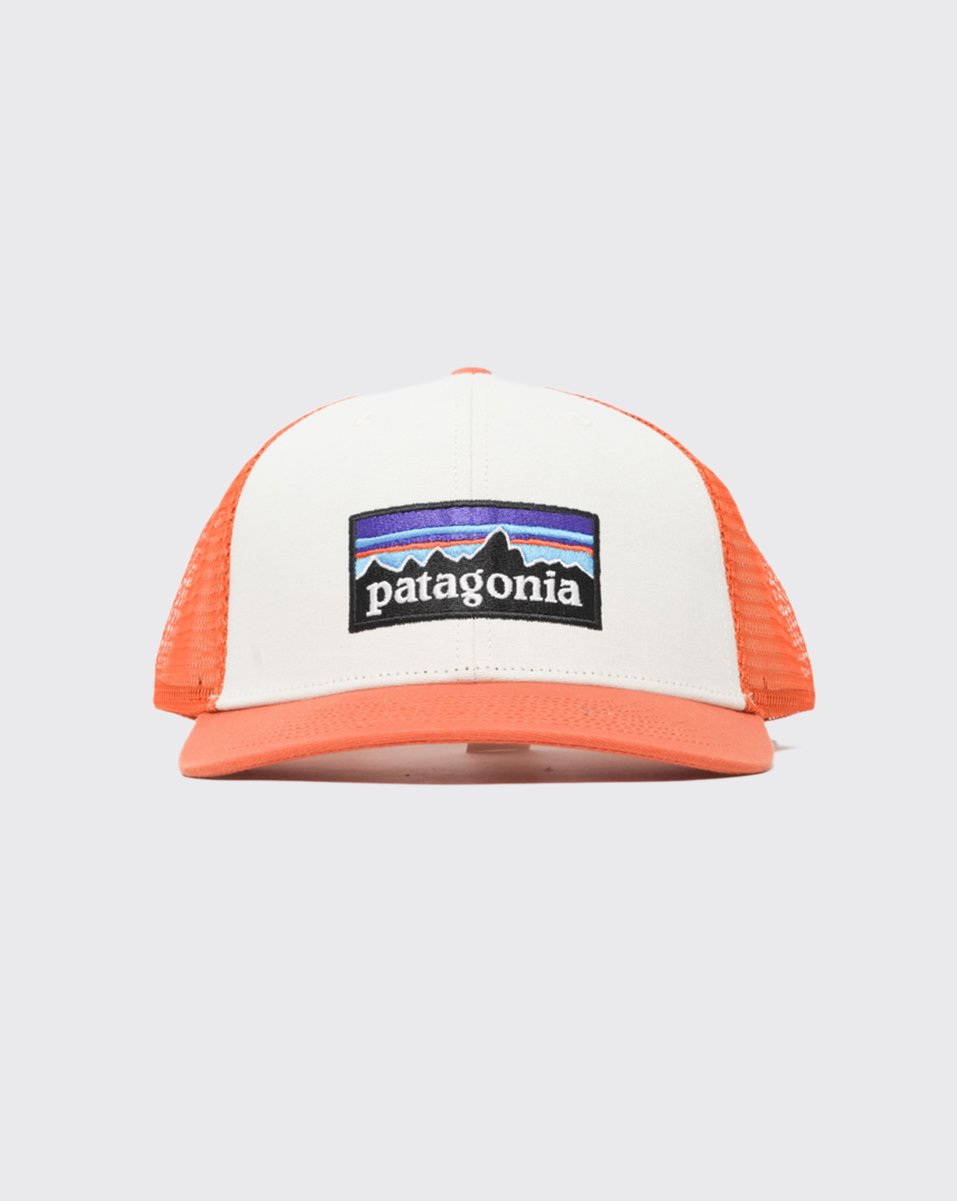 Patagonia P-6 Logo Trucker Hat