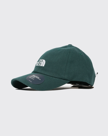 Hunter Green The North Face Norm Hat the north face cap