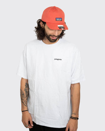 Patagonia M’s Fitz Roy Horizons Responsibili Tee patagonia Shirt
