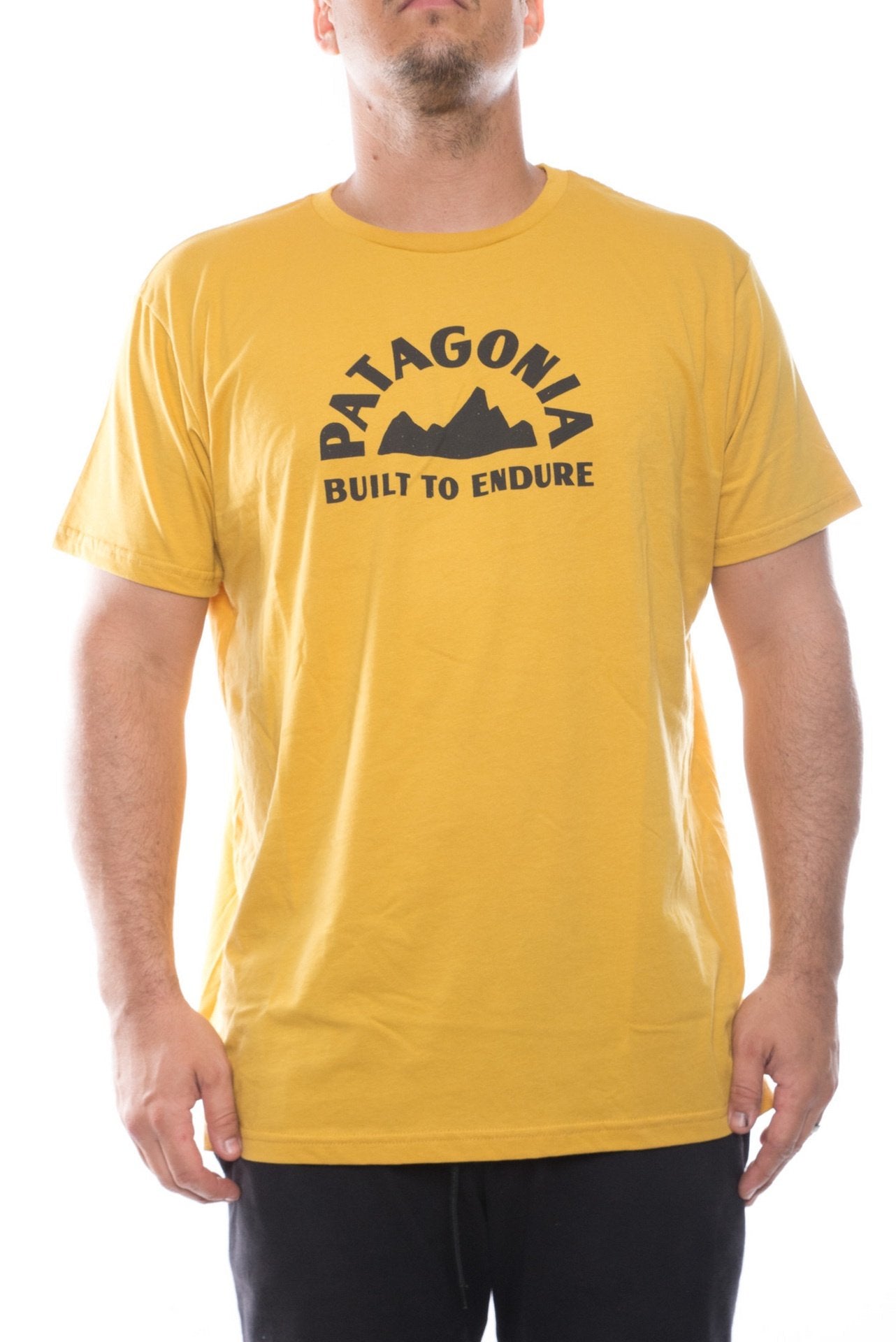 yurt yellow / M patagonia geologers organic t-shirt patagonia 190696482331 Shirt