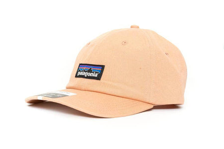PUMICE patagonia p-6 label trad cap patagonia cap