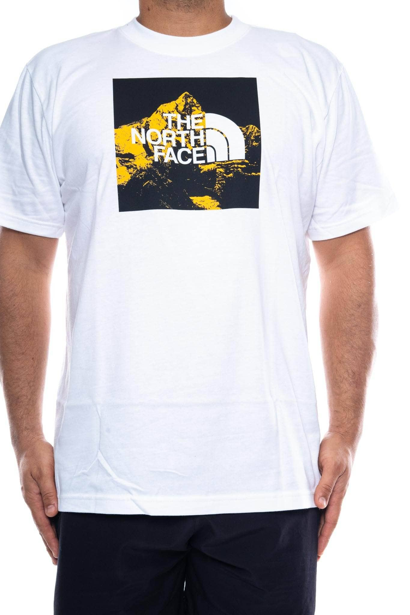 the north face 7se hw tee